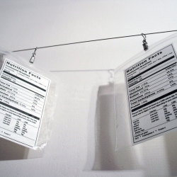 Edible Nutrition facts by Blazo Kovacevic ~ freshly served instead of Continental Breakfast.
