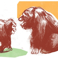 Edel Rodriguez lends some lovely illustrations to todays science times feature by frans de waal on the beginnings of morality in primate behavior.  enjoy with enthusiasm and skepticism.