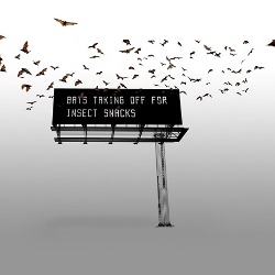 Amazing new billboard from artist & designer Chris Woebken that takes bat clicks and turns them into messages we can read.