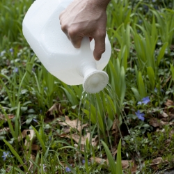 3-D printed spout snaps onto plastic milk jugs repurposing them as useful watering cans. Ball lets you fill from the top, and it blocks the water as you pour so that it becomes a watering can of various strengths!