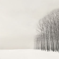 Beautiful, quiet photography by Nilgün Kara. I'm reminded of Michael Kenna's work. 