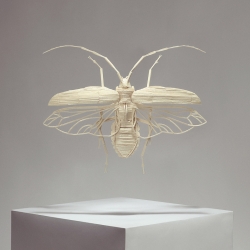 'Stick Insects'. Intricate models of insects made from matchsticks. A personal project from artist/designer Kyle Bean