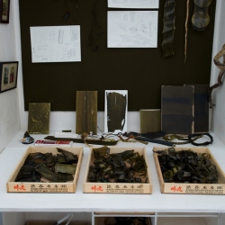 Laminarium: a research and an exhibition by Julia Lohman of seaweed collected from around the world.