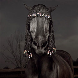 Julian Wolkenstein's photographs of styled horses. 