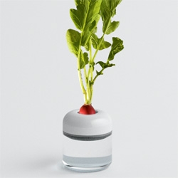 Cemal Okten's I ♥ VEGETABLES : Part IIA project - a  project that explores our connection to food, desiring to bring the process of farming vegetables into the home. The final product is a selection of vases which support the growth of vegetables.