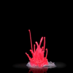 Colorful sculptures caught at 5.000 fps. Amazing!