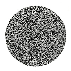 Beautiful ink drawings by young artist Caitlin Foster are simultaneously minimal and intricate.