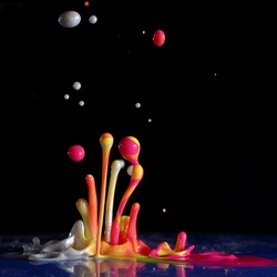 Linden Gledhill, a biochemist/photographer created these beautiful paint splashes with sound waves.  