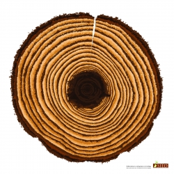 Public service poster for SIED, depicts millions of animals forming a Cross section of a Tree, conveying deforestation is cutting down everything. by JWT New Delhi.