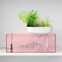 Discover the "Floating Garden" concept, the first ecological aquarium !