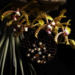 Japan's greatest flower artist Makoto Azuma teamed up with Swarovski Elements to create six unique botanical sculptures.