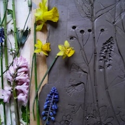Tactile Studio - Artist and theater prop maker Rachel Dein specializes in preserving the ghost impressions of flowers and objects in quadrants of plaster. She describes her results as 'fossils from everyday life'.