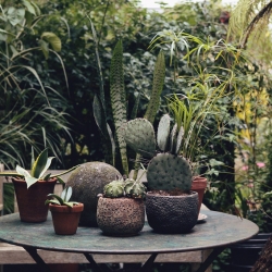 The Garden Edit ~ A collection of beautiful objects for gardens.