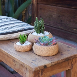 A new series of Cork Planters designed by Los Angeles-based designer Melanie Abrantes. Handmade in California. 