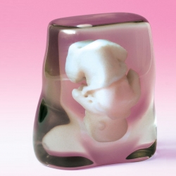 A Japanese engineering company called Fasotec will convert an MRI scan of your unborn child into a 3D-printed replica that you can use to adorn your mantelpiece.