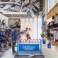 Blue Collar Working Dog in Los Angeles is the first brick and mortar retailer to specialize in supplies for the working, sporting, and active dog. Features a K9 agility course built into the retail experience. Designed by Scout Regalia.