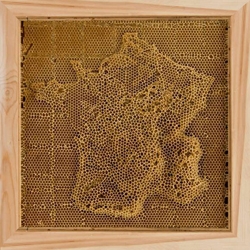 Beeswax maps of the world by Ren Ri.