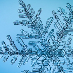 Another incredible proof that our nature is amazing. Stunning snowflake photos with much detail!
Next time you walk on snow remember that you're destroying millions of beautiful wonders.