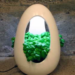 Greger Lund aims to give 'spice' herbs better growing conditions in the kitchen, using LED technology that imitates natural daylight, two different designs.