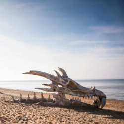 To celebrate the launch of 'Game of Thrones Season 3' on blinkbox (VOD) they made a 40-foot long dragon skull and plonked it on the Jurassic Coast in Dorset (UK).