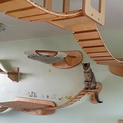 Gold Paw (Goldtatze) was tasked with creating rooms and pieces of ‘furniture’ for cats to easily access and use up high and out of the way in any normal scenario. 