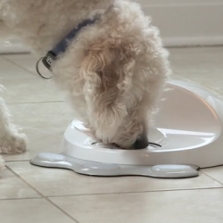 CleverPet is a smart WiFi-connected interactive device for your pet. It automatically entertains, feeds and educates your dog, even when they're home alone ~ with a series of increasingly complex puzzles for treats.