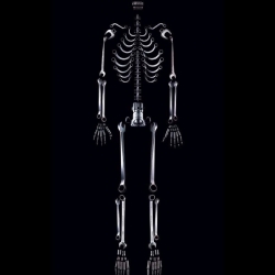 Really nice ad for Craftsman from Y&R Chicago and creative directors Dave Loew and Jon Wyville. Just a fun little ad and I really like the way they used different Craftsman tools to create a visually effective human skeleton.