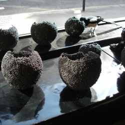 Rachel Clark created these Pod Egg sculptures from polystyrene balls mixed with black Acrylic paint.  They were part of a London Fashion Week window display competition in Mayfair, London.