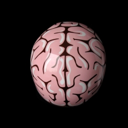 "Brain Box" is a motorcycle crash helmet that looks like a brain, to protect your brain!