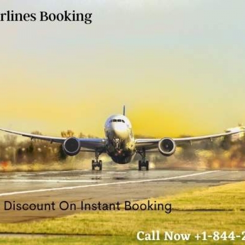 They also help you grab attractive offers and discounts on the tickets. In case you have any queries regarding the Delta Flight booking process, you can ask the travel expert at any time during and after the call. The agent is professionally trained and will surely provide the most effective solution to your queries. We also ensure the safety of your personal information. All the data that you shared with us will be confidential and secured.