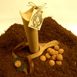 L.A.-based Commonstudio (Greenaid seedbomb vending) is offering a unique holiday gift for all ages: A 10 pack of seedbombs (containing NATIVE seeds from your region) and a wooden slingshot for tactical intervention.