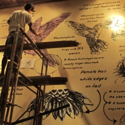 Hummingbird Wiki on Mural at the Hummingbird Eatery Jln. Progo 14 Bandung.
