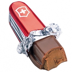 Swiss army knife chocolates ! Cool and not dangerous...
