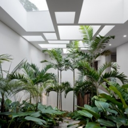 Brazilian architect Isay Weinfeld has mastered the marriage of nature and architecture in the Casa Grecia, where an Eco-system of 1,900 square meters of plants exist within the Sao Paulo home.