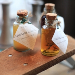 Leopards + Lions- Individually crafted bitters packaged in authentic 19th century apothecary bottles. 