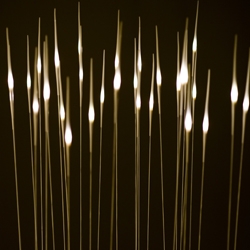 Metaphys Susuki is a floor lamp inspired by the Japanese pampas grass, susuki. The lights sway with wind, imitating the actual movement of the grass.