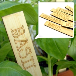 Bamboo Herb Markers by Oryx+Crake Design. 