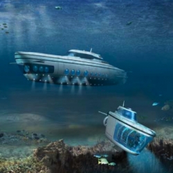 It's called Phoenix 1000. After the expensive cars and the private jet planes, submarines are the new luxury of the very, very rich people.  Let's find nemo?
