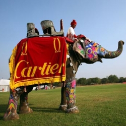 Cool Hunter reports on Cartier doing a jewel-encrusted Elephant Polo Match in India... wow.