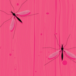 As itchy as it makes me feel to look at these Craneflies ~ this is a gorgeous print by zand2ohs