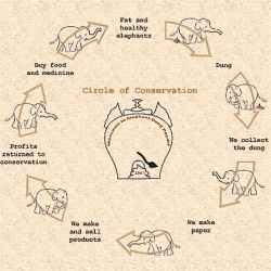 I'm in awe of #615 - and i think my next sketchbook should be from elephant dung - help support the elephants! check out the circle of conservation and their cute logo.
