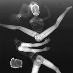 X-rayed barbies are pretty funny