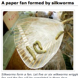 Silkworms form a fan. Let five or six wilkworms wriggle on the frames of a fan and the fan will be completed in three days.