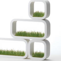 Metaphys of Japan makes these wonderful living garden frames in different shapes. Just plant seeds, water and watch it grow indoors on the wall!