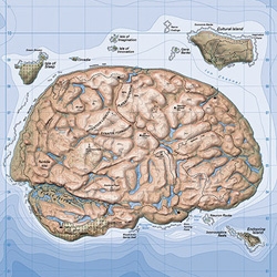 New Zealanders - Unit Seven - has mapped the brain like a floating island, and made some pretty sweet 3d renders as well as topographic maps
