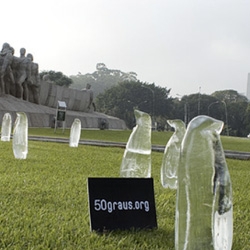 Ice Penguins in Sao Paulo! 50graus has placed these in a public square to alert people to global warming