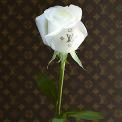 Louis Vuitton Japan is now taking advantage of "white day" to market their brand toward brand conscious Japanese boys and girls with white roses with LV logo on them.