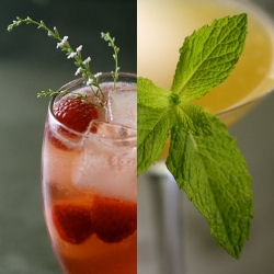 Parts 2 and 3 of the NOTCOT / Rachel’s cocktail collaboration: the White Flower Bramble, and the Sweet Revival.