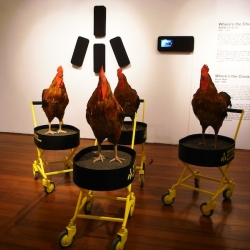 Where’s the Chicken? is a robotics public artwork supported by the Hong Kong Arts Development Council.  Locate and interact with autonomous chicken robots at specific spots throughout the city.