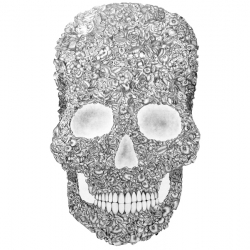Large scale flower skull by danish artist Jacob Dahlstrup. 100 hours fine detailed pencil drawing.